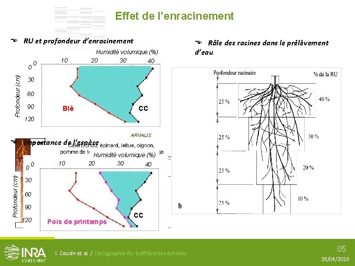 Effet de l’enracinement E RU et profondeur d’enracinement Profondeur (cm) 0 0 10 Humidité