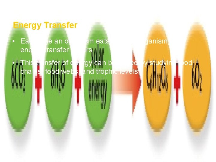 How Ecosystems Work Section 1 Energy Transfer • Each time an organism eats another