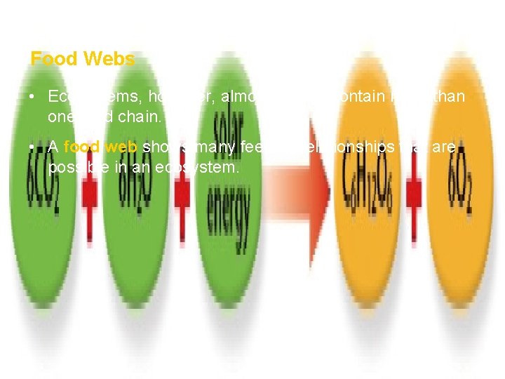 How Ecosystems Work Section 1 Food Webs • Ecosystems, however, almost always contain more