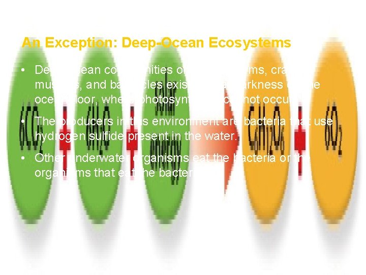 How Ecosystems Work Section 1 An Exception: Deep-Ocean Ecosystems • Deep-ocean communities of worms,