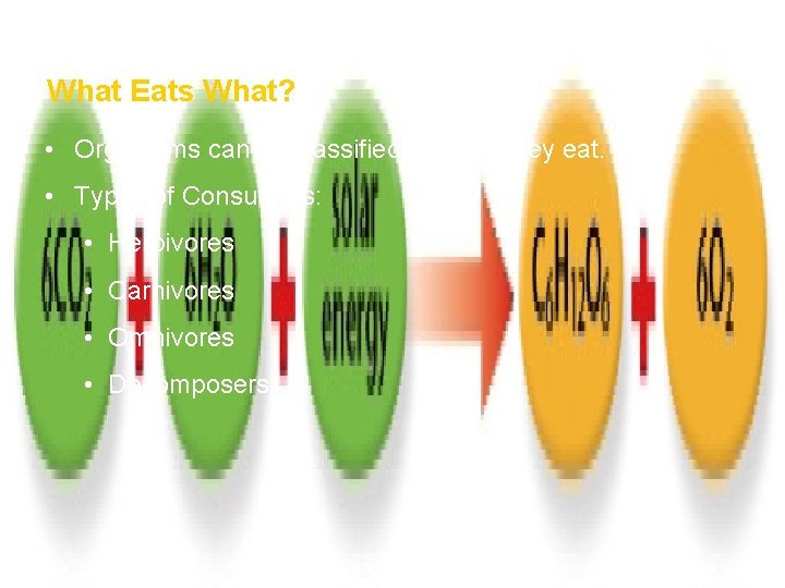 How Ecosystems Work What Eats What? • Organisms can be classified by what they