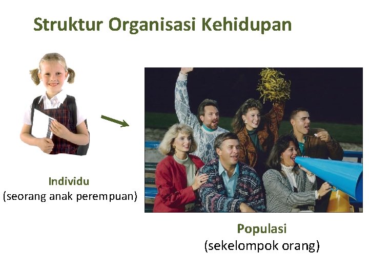 Struktur Organisasi Kehidupan Individu (seorang anak perempuan) Populasi (sekelompok orang) 