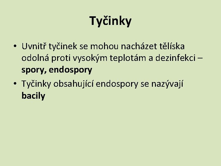 Tyčinky • Uvnitř tyčinek se mohou nacházet tělíska odolná proti vysokým teplotám a dezinfekci