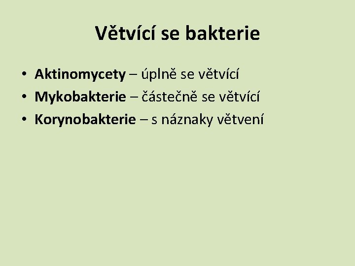 Větvící se bakterie • Aktinomycety – úplně se větvící • Mykobakterie – částečně se