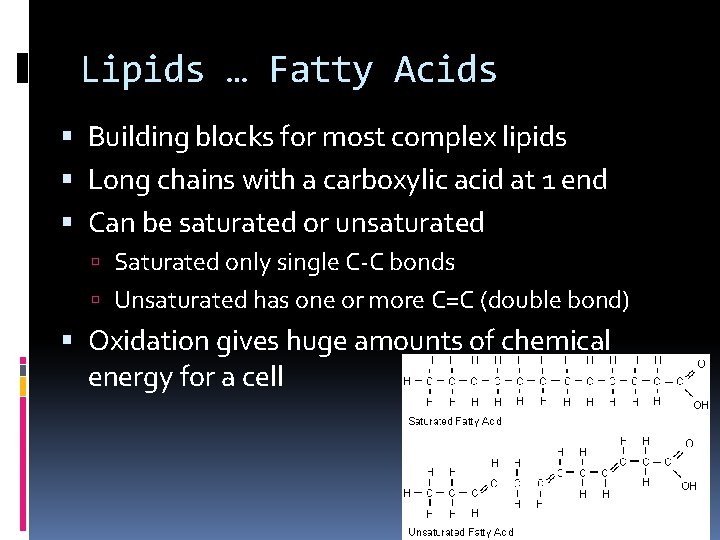 Lipids … Fatty Acids Building blocks for most complex lipids Long chains with a