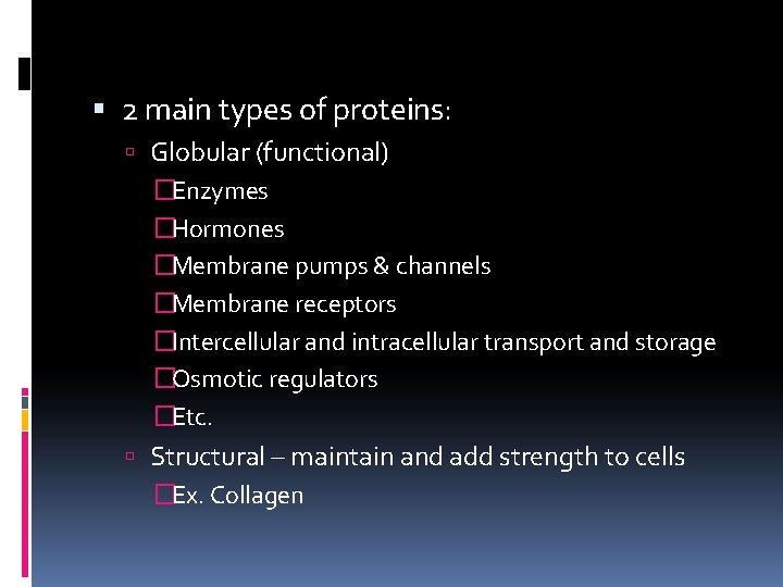  2 main types of proteins: Globular (functional) �Enzymes �Hormones �Membrane pumps & channels