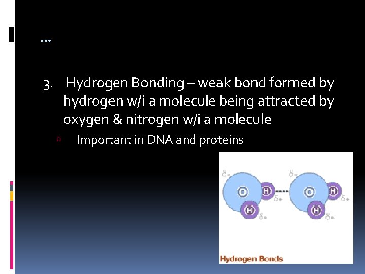 … 3. Hydrogen Bonding – weak bond formed by hydrogen w/i a molecule being