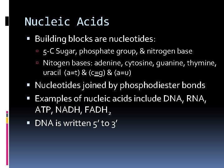 Nucleic Acids Building blocks are nucleotides: 5 -C Sugar, phosphate group, & nitrogen base