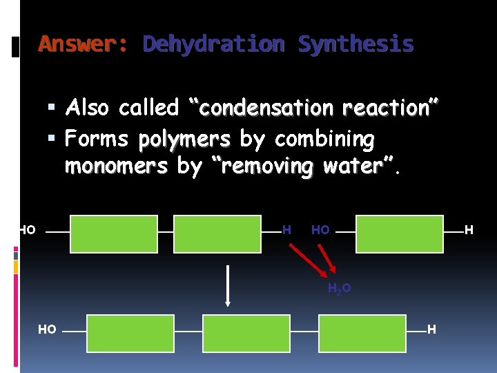 Answer: Dehydration Synthesis Also called “condensation reaction” Forms polymers by combining monomers by “removing