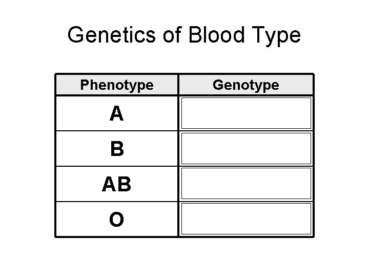 Genetics of Blood Type Phenotype Genotype A AA or AO B BB or BO
