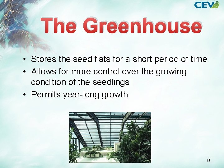 The Greenhouse • Stores the seed flats for a short period of time •