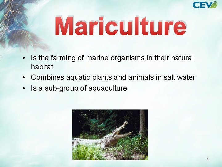 Mariculture • Is the farming of marine organisms in their natural habitat • Combines