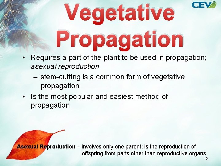 Vegetative Propagation • Requires a part of the plant to be used in propagation;