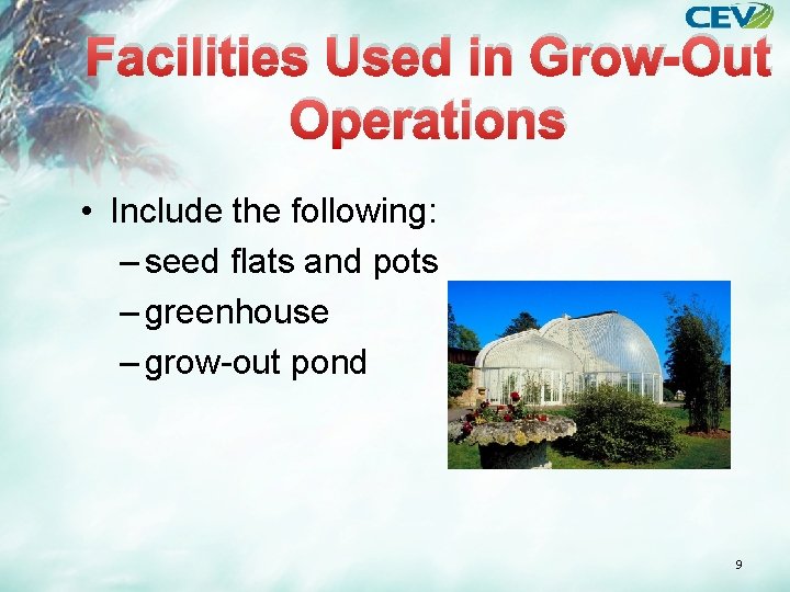 Facilities Used in Grow-Out Operations • Include the following: – seed flats and pots