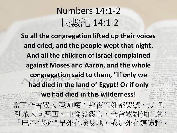 Numbers 14: 1 -2 民數記 14: 1 -2 So all the congregation lifted up