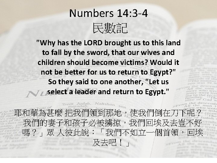 Numbers 14: 3 -4 民數記 "Why has the LORD brought us to this land