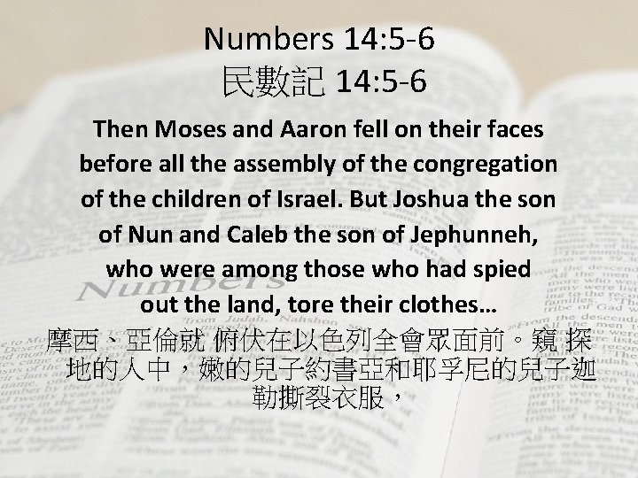 Numbers 14: 5 -6 民數記 14: 5 -6 Then Moses and Aaron fell on