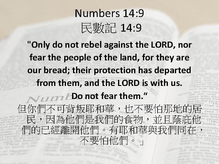 Numbers 14: 9 民數記 14: 9 "Only do not rebel against the LORD, nor