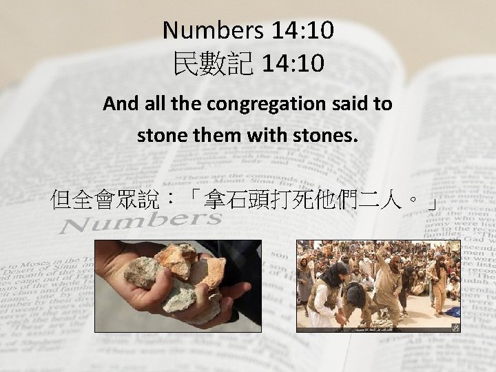 Numbers 14: 10 民數記 14: 10 And all the congregation said to stone them