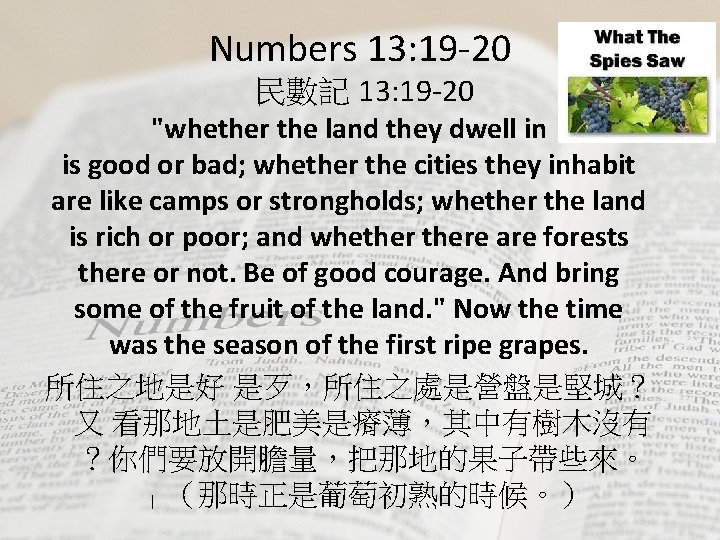 Numbers 13: 19 -20 民數記 13: 19 -20 "whether the land they dwell in