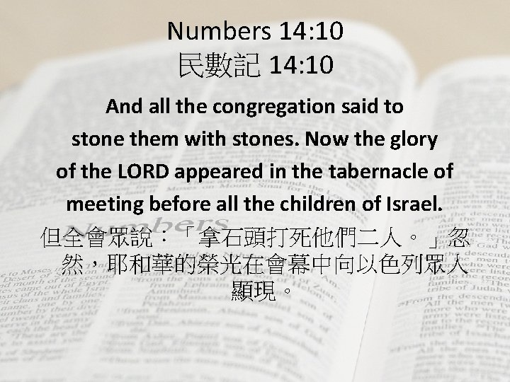 Numbers 14: 10 民數記 14: 10 And all the congregation said to stone them