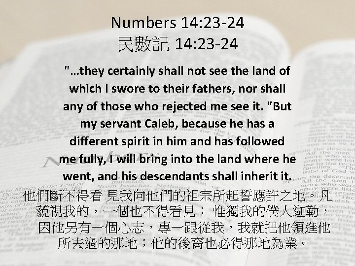 Numbers 14: 23 -24 民數記 14: 23 -24 "…they certainly shall not see the