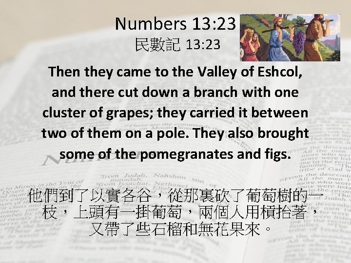 Numbers 13: 23 民數記 13: 23 Then they came to the Valley of Eshcol,