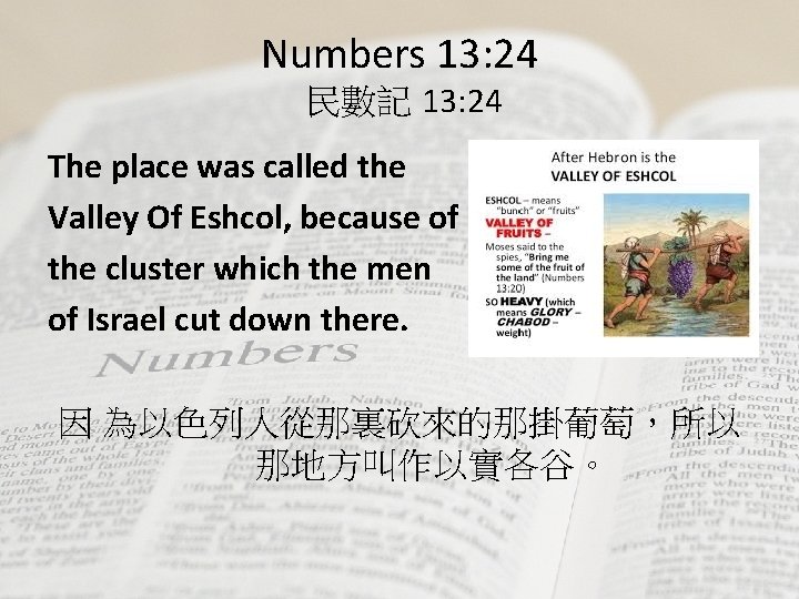 Numbers 13: 24 民數記 13: 24 The place was called the Valley Of Eshcol,