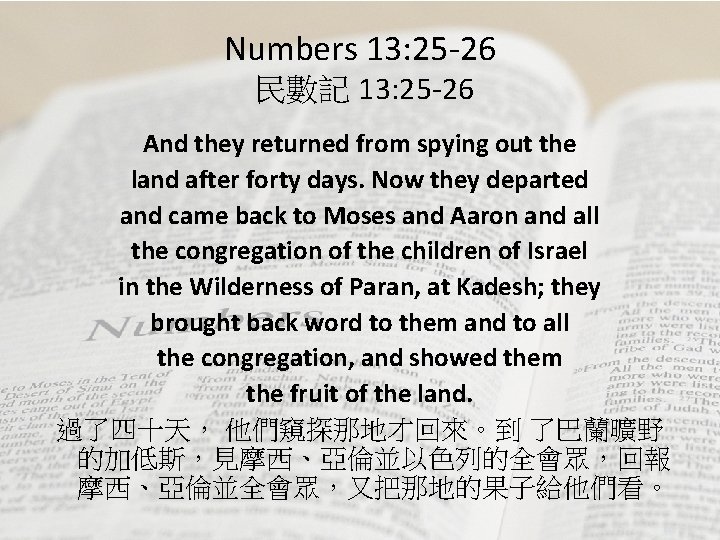 Numbers 13: 25 -26 民數記 13: 25 -26 And they returned from spying out