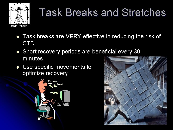 Task Breaks and Stretches ERGONOMICS l l l Task breaks are VERY effective in