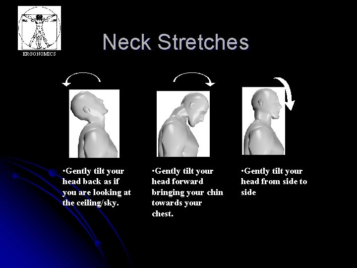 ERGONOMICS Neck Stretches • Gently tilt your head back as if you are looking