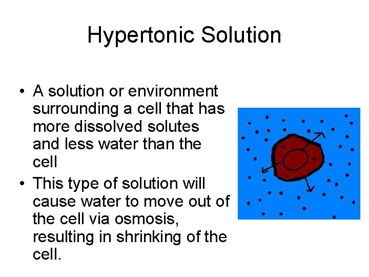 Hypertonic Solution • A solution or environment surrounding a cell that has more dissolved