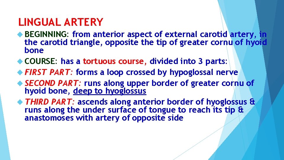 LINGUAL ARTERY BEGINNING: from anterior aspect of external carotid artery, in the carotid triangle, LINGUAL ARTERY BEGINNING: from anterior aspect of external carotid artery, in the carotid triangle,