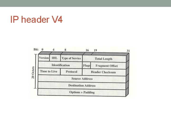 IP header V 4 