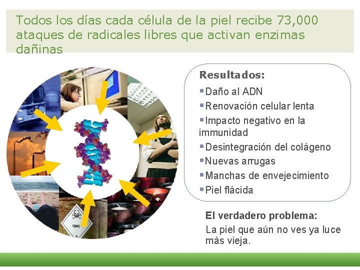 Todos los días cada célula de la piel recibe 73, 000 ataques de radicales