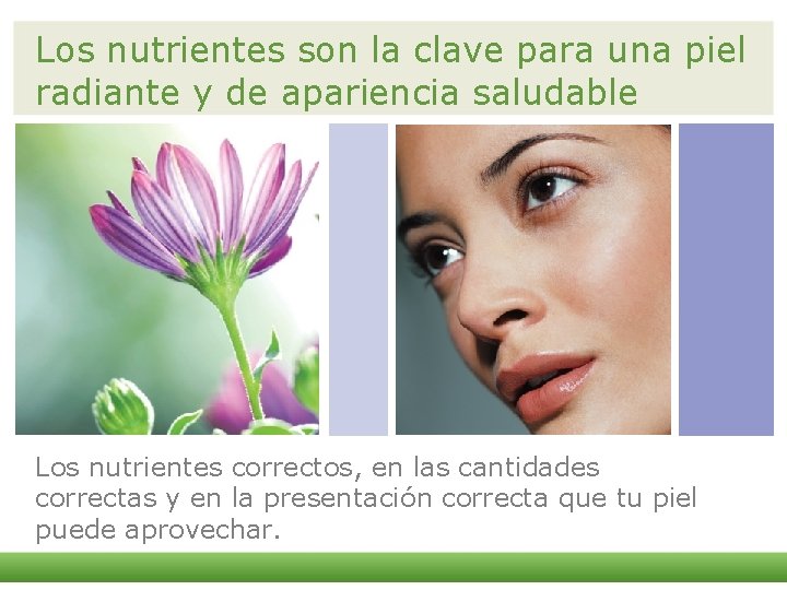 Los nutrientes son la clave para una piel radiante y de apariencia saludable Los