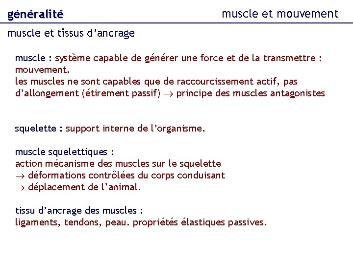 généralité muscle et mouvement muscle et tissus d’ancrage muscle : système capable de générer