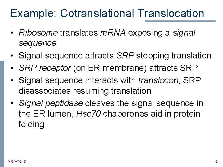 Example: Cotranslational Translocation • Ribosome translates m. RNA exposing a signal sequence • Signal