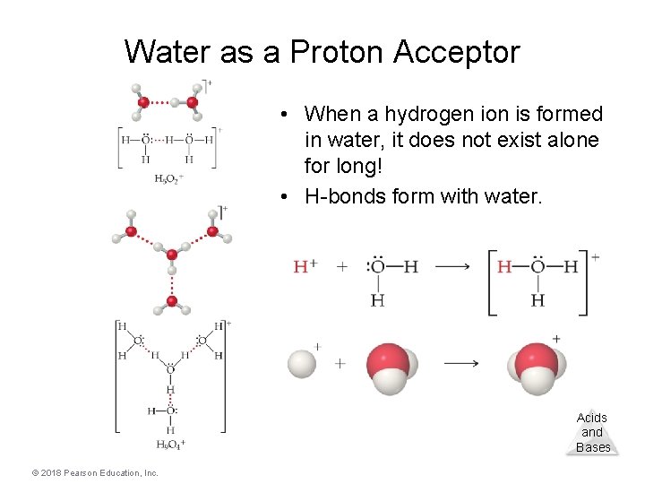 Water as a Proton Acceptor • When a hydrogen ion is formed in water,