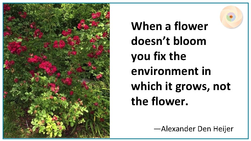 When a flower doesn’t bloom you fix the environment in which it grows, not