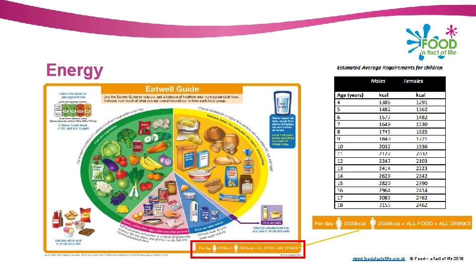 Energy www. foodafactoflife. org. uk © Food – a fact of life 2019 