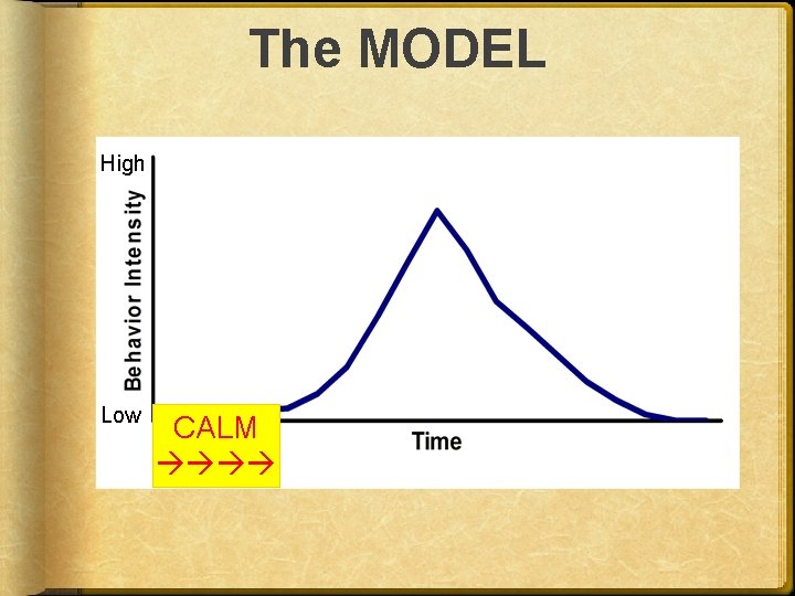 The MODEL High Low CALM 