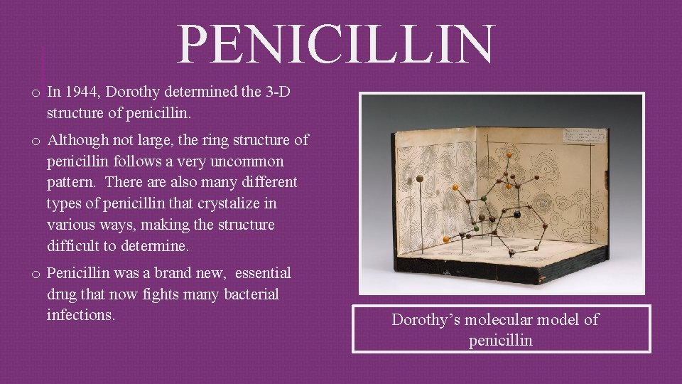 PENICILLIN o In 1944, Dorothy determined the 3 -D structure of penicillin. o Although