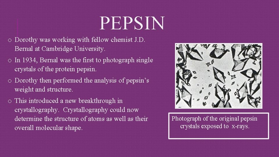 PEPSIN o Dorothy was working with fellow chemist J. D. Bernal at Cambridge University.
