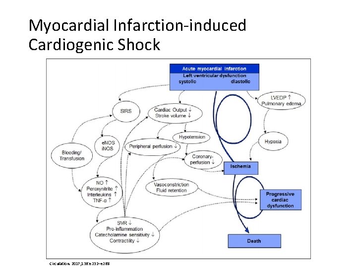 Myocardial Infarction-induced Cardiogenic Shock Circulation. 2017; 136: e 232–e 268 
