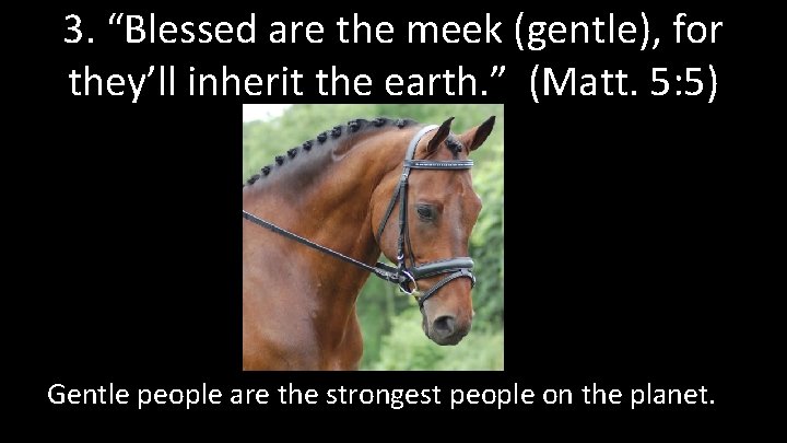 3. “Blessed are the meek (gentle), for they’ll inherit the earth. ” (Matt. 5: