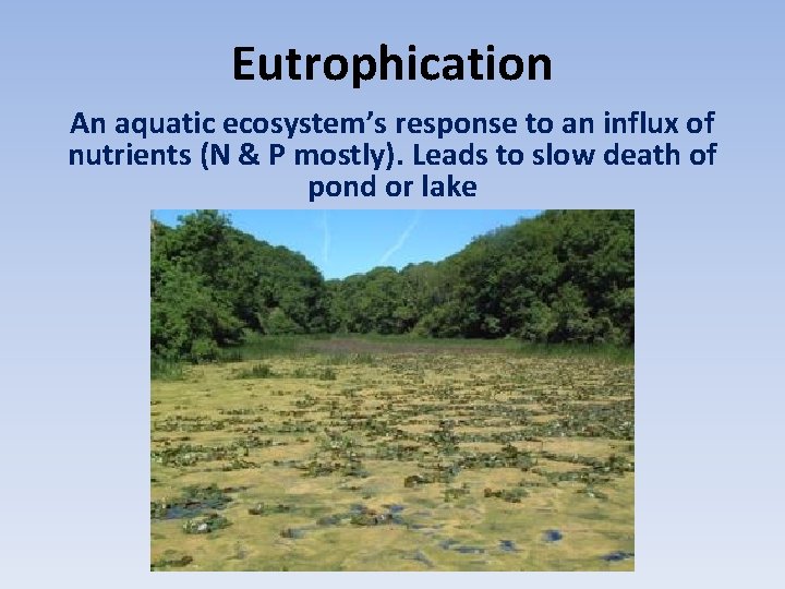 Eutrophication An aquatic ecosystem’s response to an influx of nutrients (N & P mostly).