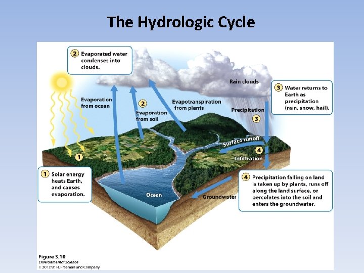 The Hydrologic Cycle 