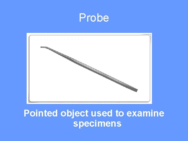 Probe Pointed object used to examine specimens 