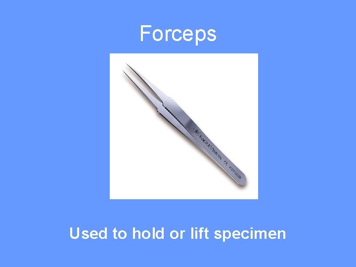 Forceps Used to hold or lift specimen 